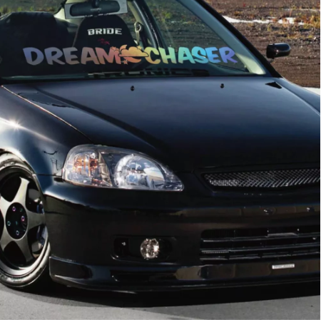 Dream Chaser Banner